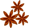 Feature icon